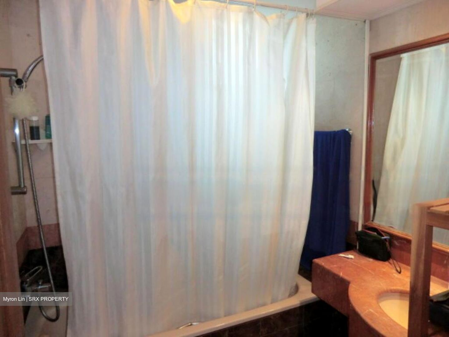 Spring Grove (D10), Condominium #473347671
